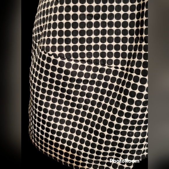 NWT Zara Skirt Bouffant 10 Fully Lined - Picture 5 of 7